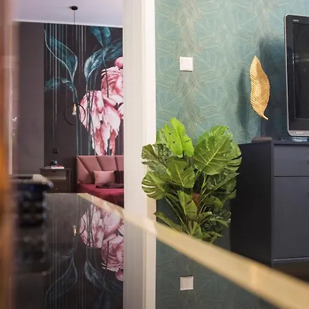 Apartament Paderewskiego 1 Bydgoszcz